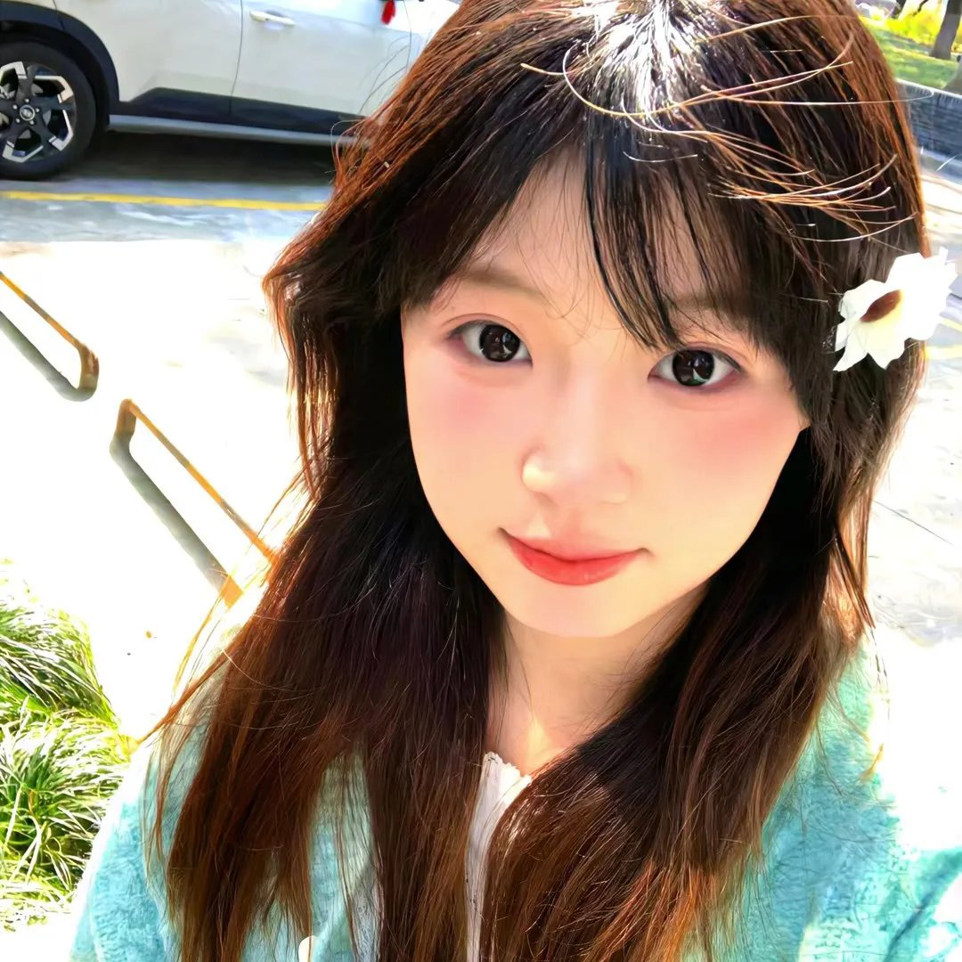 昙花缘未了