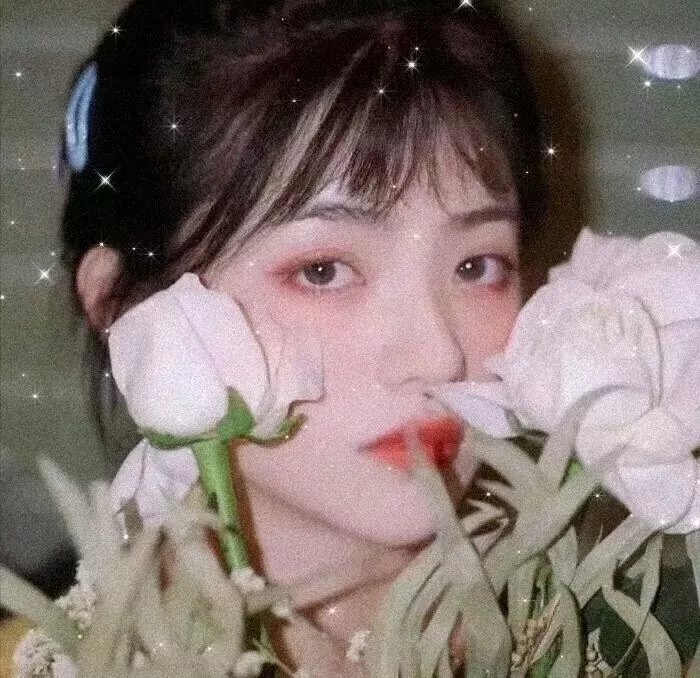 盲点 第五季