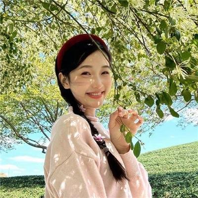夏洛特2021